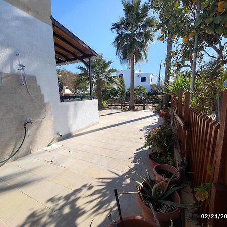 פרבוליה Palm Garden Paradise מראה חיצוני תמונה