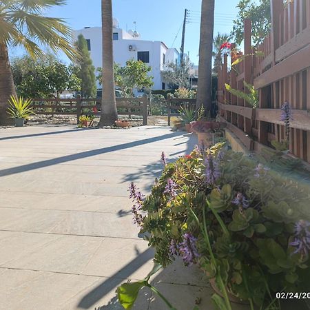 פרבוליה Palm Garden Paradise מראה חיצוני תמונה