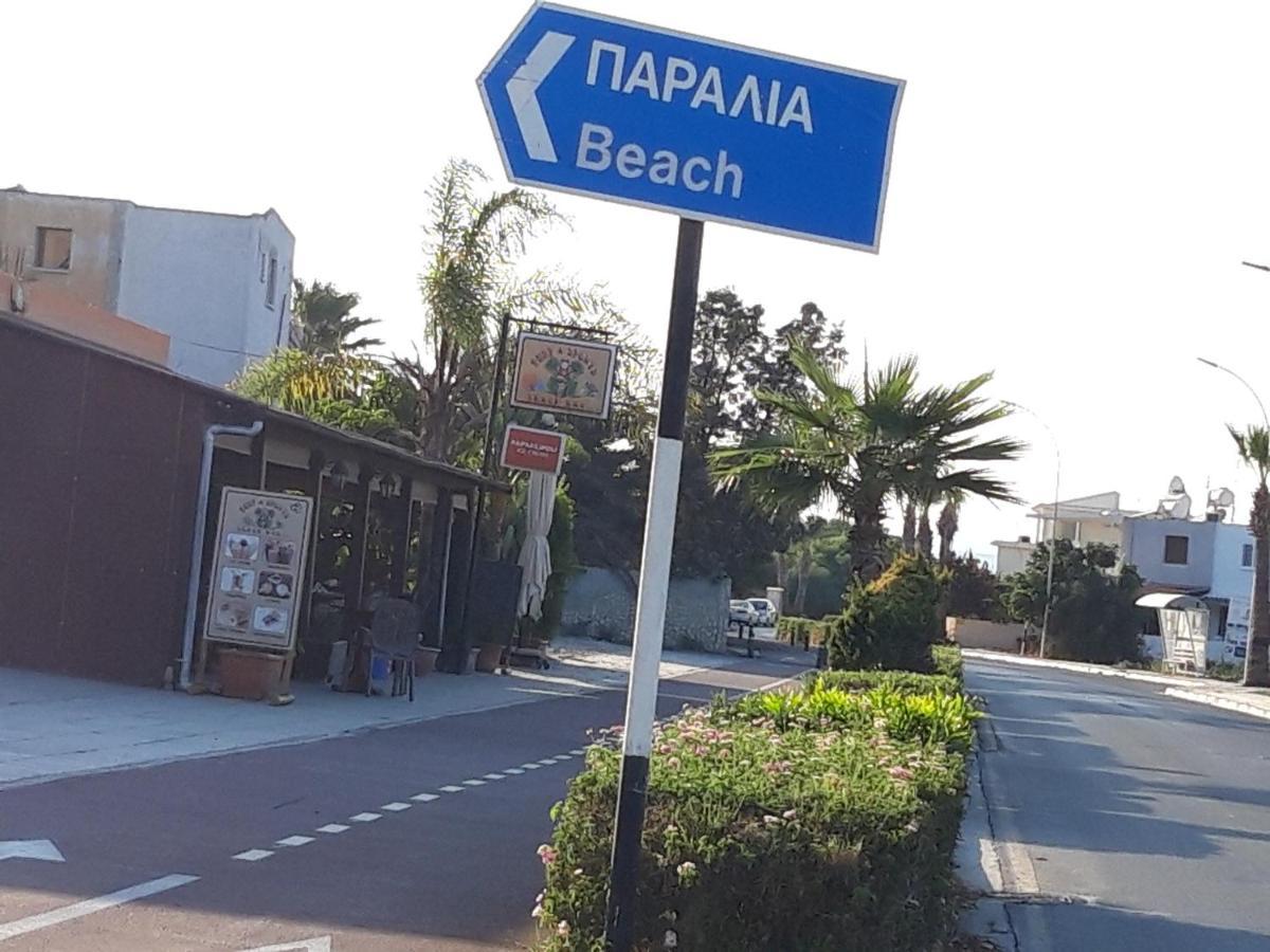 פרבוליה Palm Garden Paradise מראה חיצוני תמונה