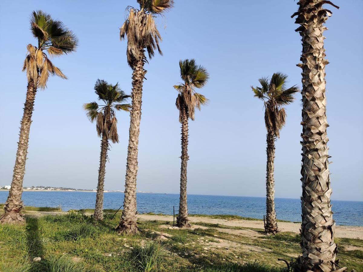 פרבוליה Palm Garden Paradise מראה חיצוני תמונה