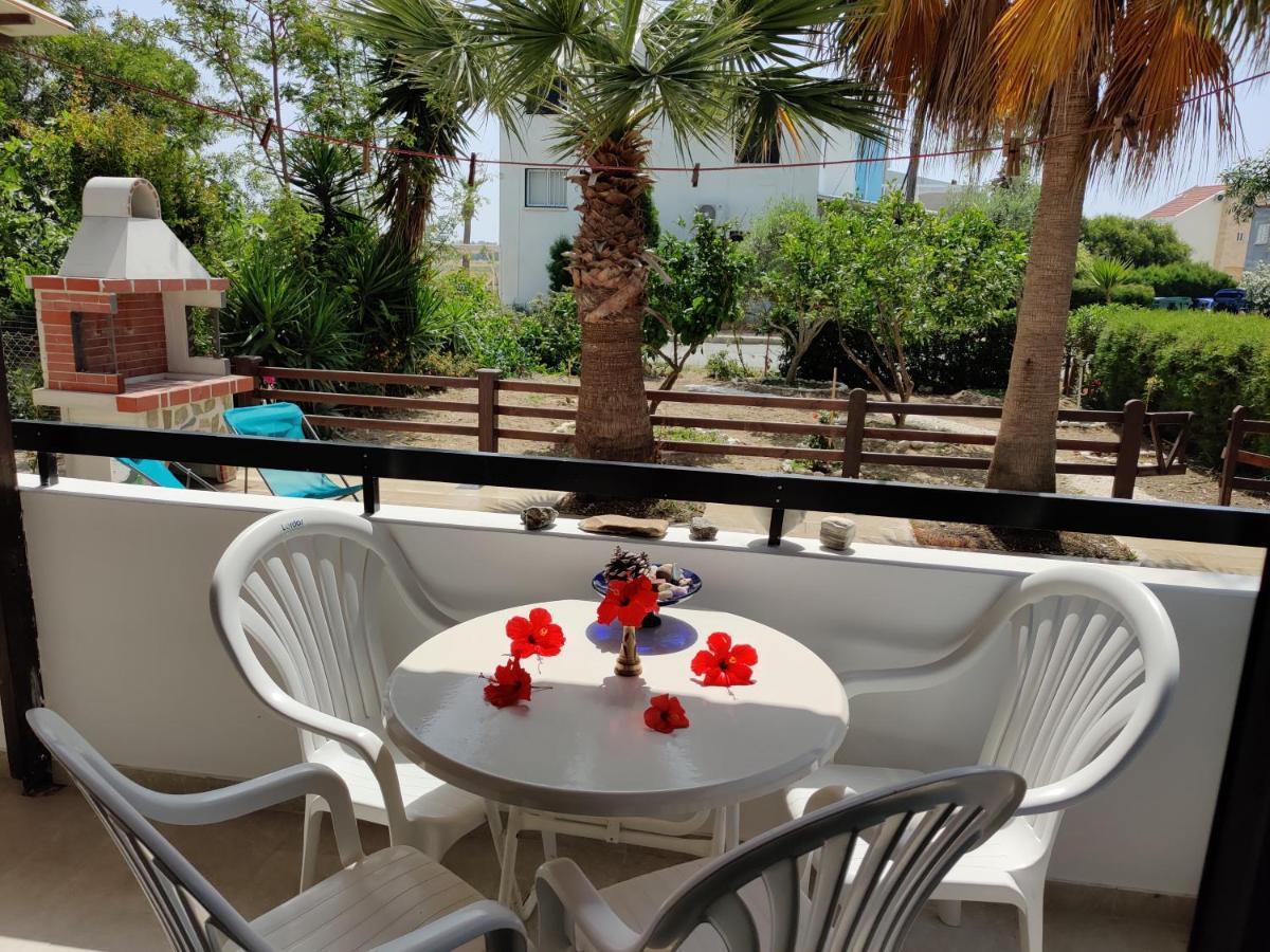 פרבוליה Palm Garden Paradise מראה חיצוני תמונה
