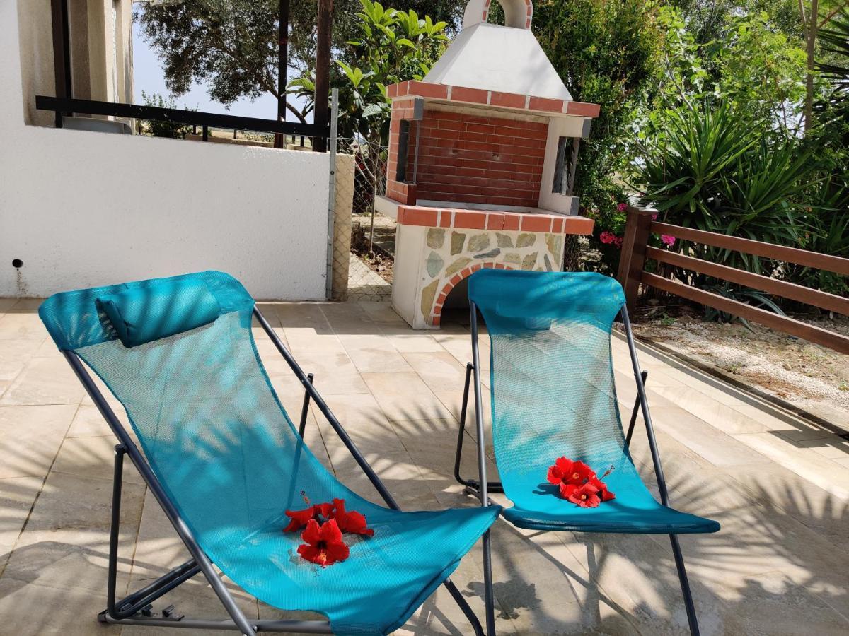 פרבוליה Palm Garden Paradise מראה חיצוני תמונה
