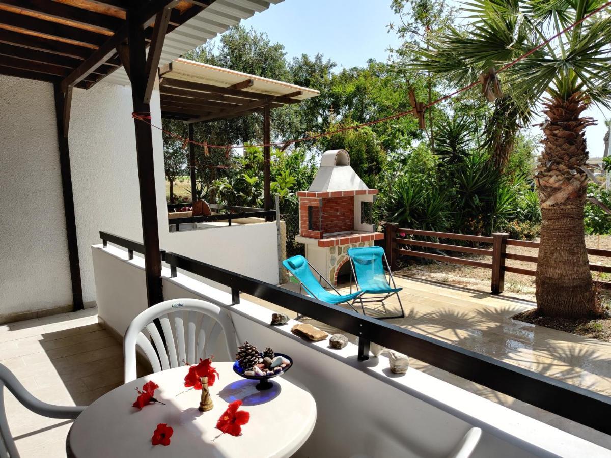 פרבוליה Palm Garden Paradise מראה חיצוני תמונה