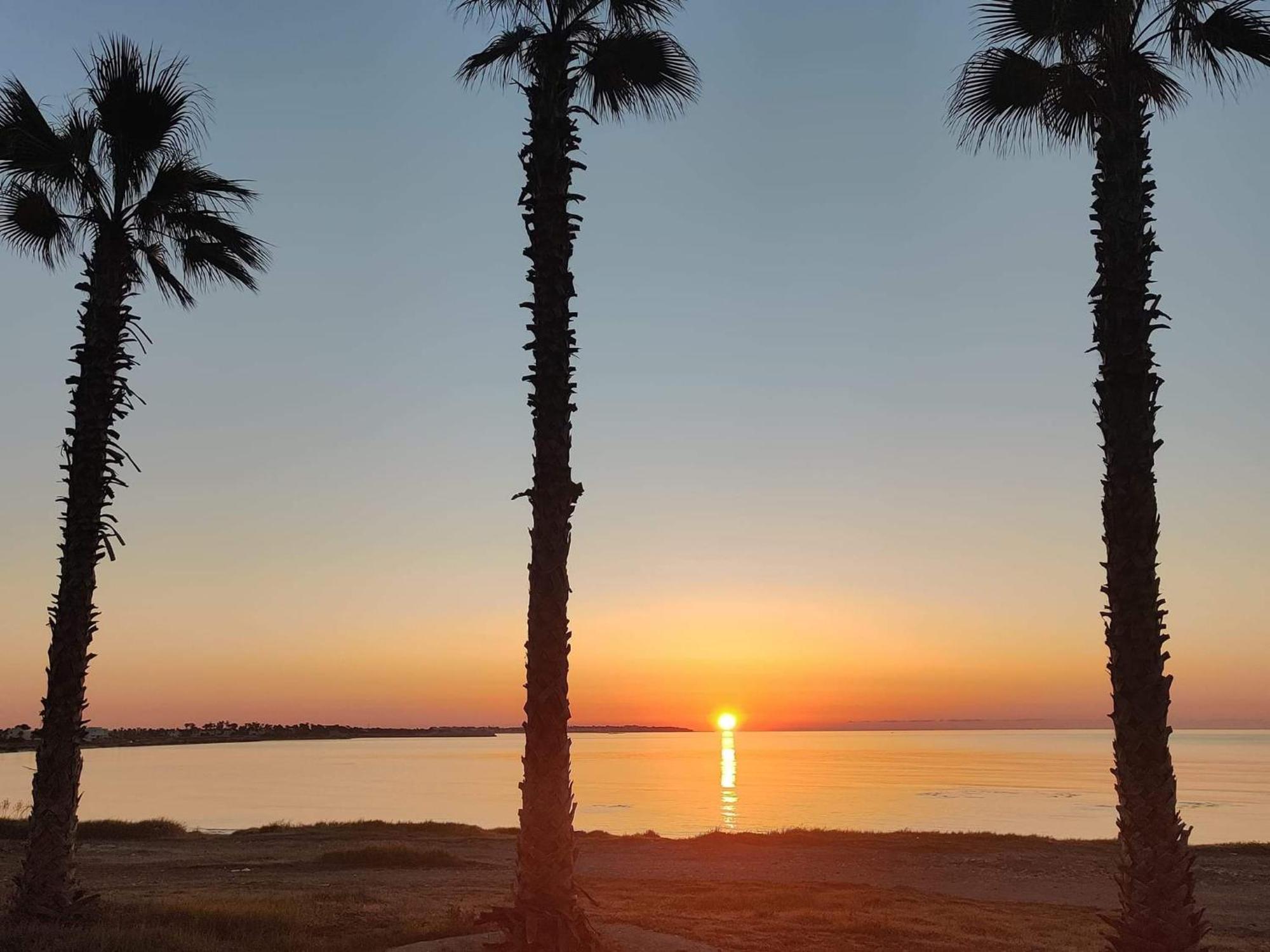 פרבוליה Palm Garden Paradise מראה חיצוני תמונה