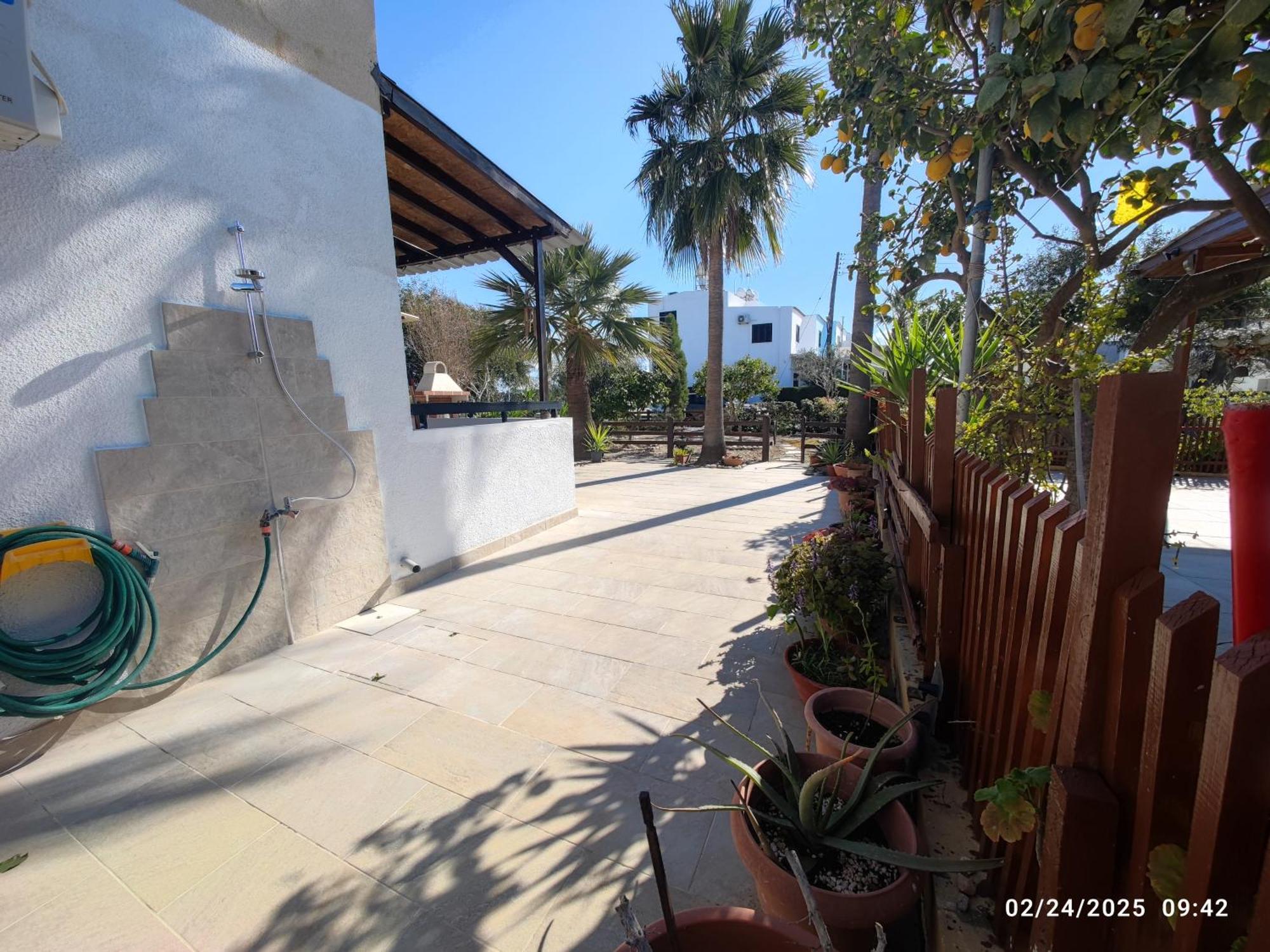 פרבוליה Palm Garden Paradise מראה חיצוני תמונה